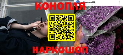 крисы Тулун