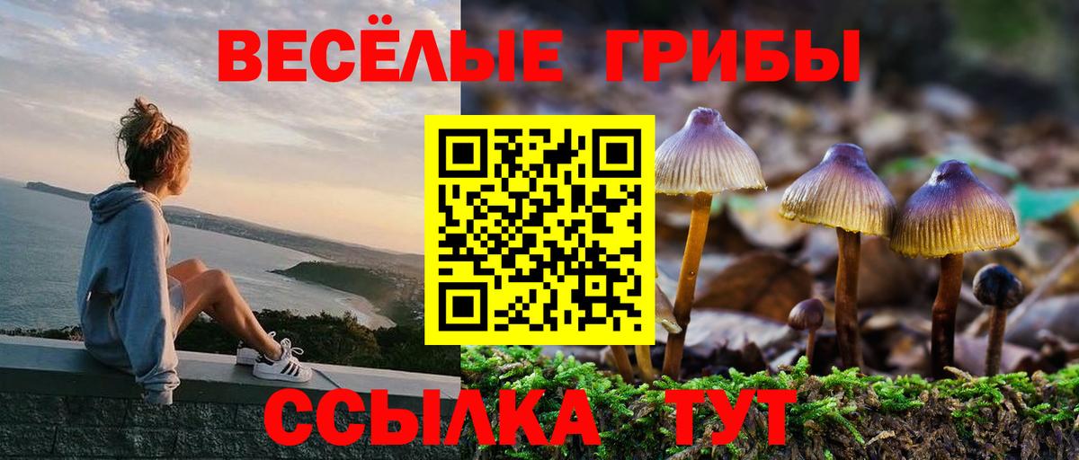 Гашиш Муром